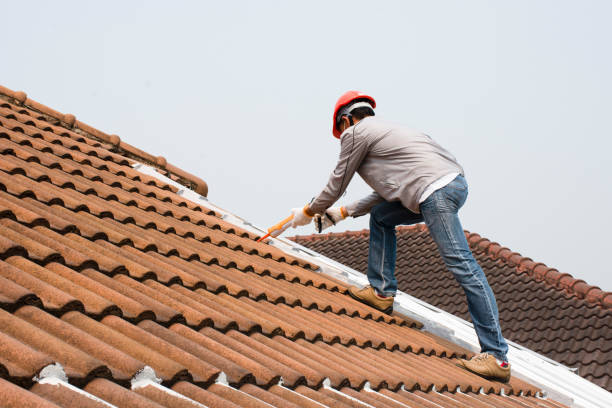 Best Tile Roofing Installation  in Rock Valley, IA