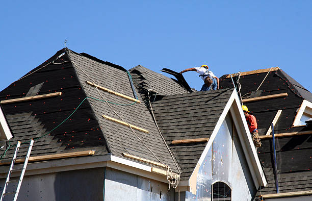 Best Roof Insulation Installation  in Rock Valley, IA