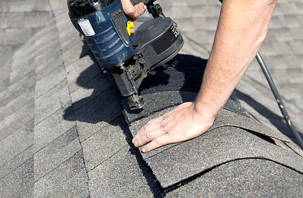 Best Asphalt Shingle Roofing  in Rock Valley, IA